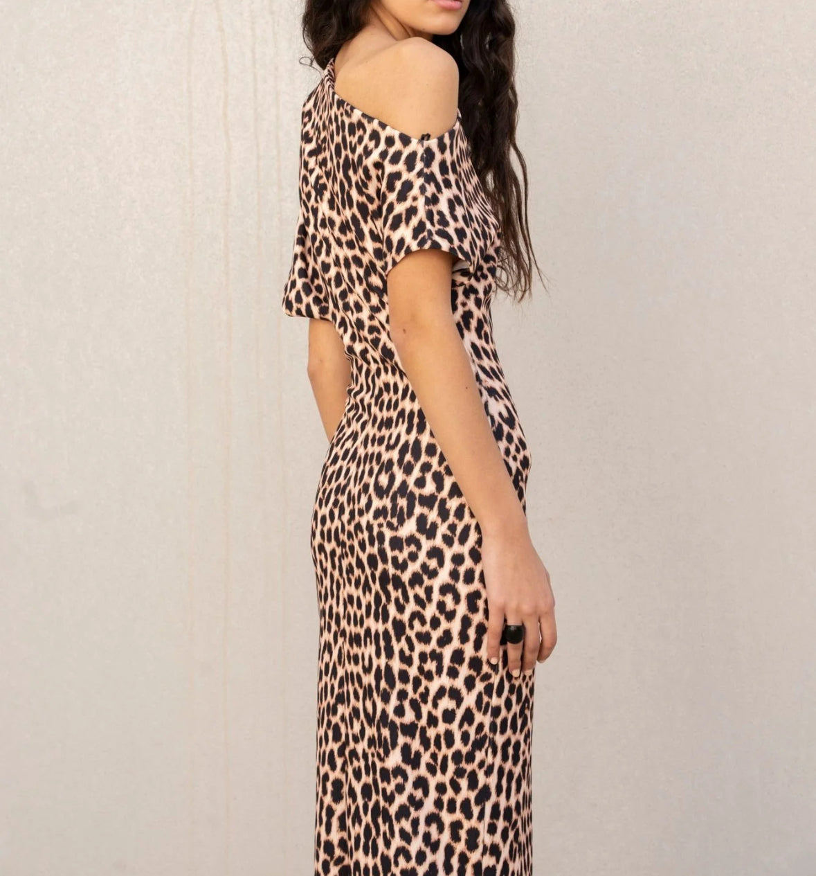 Leopard print dress